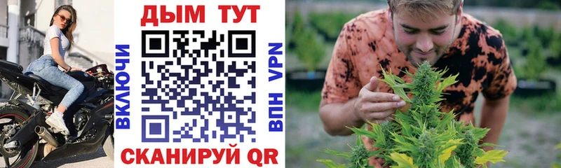 Где можно купить наркотики Пласт Метамфетамин  mega зеркало  МАРИХУАНА  A PVP  Меф мяу мяу 