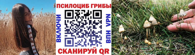 Псилоцибиновые грибы прущие грибы  MEGA рабочий сайт  Пласт 